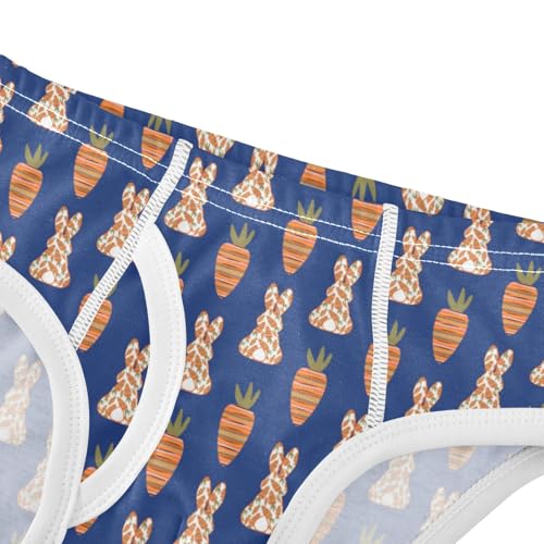 Boys' Exclusive Briefs Toddler Underwear 95% Combed Cotton Boxerbriefs 2T Carrot and Bunny Pattern 534