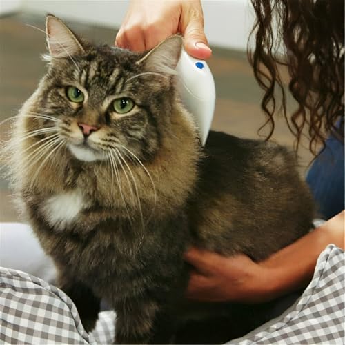 Pente Elétrico Antipulgas para Cães Gatos Outros Animais Pet - Cachorro Remove Pulgas Lêndeas e Piol