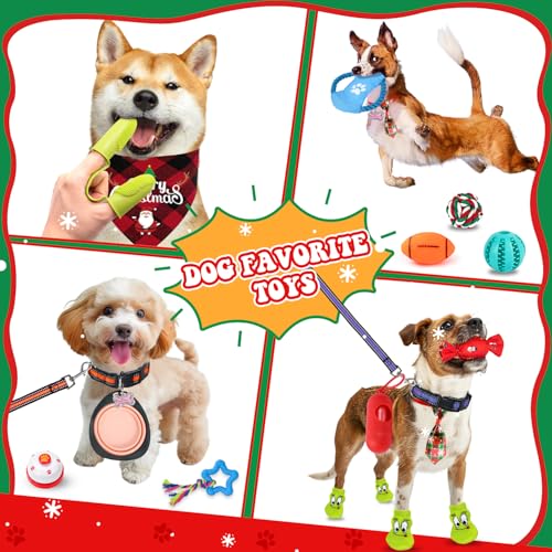 iZoeL Adventskalender für Hunde 2025 Weihnachtskalender 24 Hundespielzeuge Hundehalsband Spielzeug Weihnachten Geschenk Hundeliebhaber Wiederverwendbar Adventskalender Geschenke