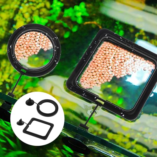 2 PCS Futterring Aquarium, Schwarzer Aquarium Futterring Fisch Fütterung Ringe Fisch Aquariums Fütterer Schwimmend Futter Fütterung Kreis Mit Saugnapf Verhindern, DASS Wasser Turbulenzen Lebensmittel