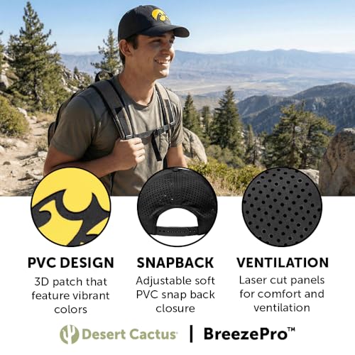 Gorra Snapback Desert Cactus Iowa miniatura 3