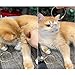 Imagen de Mfqire 6PCS Llavero Cápsula para Pelo de Gato
