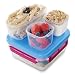 Rubbermaid LunchBlox Leak-Proof Entree Lunch Container Kit, Small, Beet Red 2000578