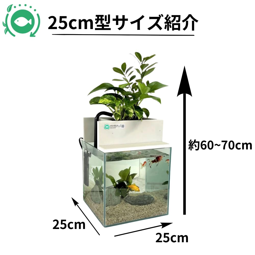 Amazon | せせらぎビオトープ 水替え不要【水槽セット】 25cm型 【基本