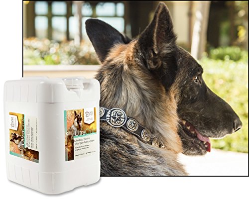 UltraCruz Canine Dog Shampoo Concentrate, 5 Gallons UltraCruz Canine Dog Shampoo Concentrate, 5 Gallons