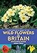 A Naturalist's Guide to Wild Flowers of Britain & Northern Europe