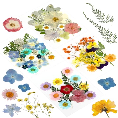 Naturales Flores Prensadas Secas, 84 Piezas Flores Secas Naturales, Flores Secas Manualidades, Flores Secas Decoracion, Flores Secas Mezcladas, para Resina Scrapbooking, Joyería de Resina Epoxi