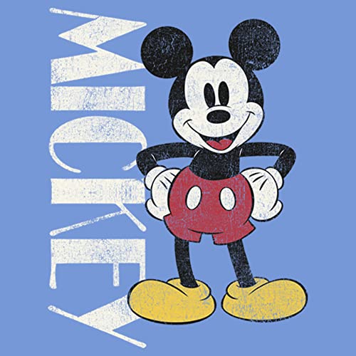 Disney Friends Mickey Vintage Stance Boys Performance T-Shirt2
