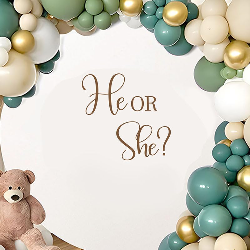 Vinilo decorativo He Or She? para fiestas revelación género miniatura 2