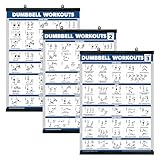 Palace Learning Hantel-Trainingsposter für das Fitnessstudio zu Hause, Band 1, 2 und 3, Übungstabellen (laminiert mit Kunststoffrahmen, 45,7 x 61 cm), 3 Stück