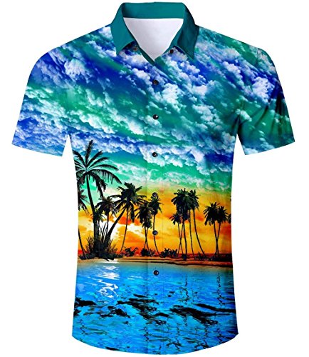 AIDEAONE Herren Hawaii Kurzarm Regular Fit Hemd Sommerhemd Hemd Blau
