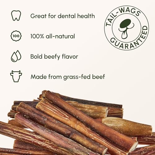 Image of Downtown Pet Supply Bully Sticks for Dogs - Natural 6 Inch Beef Chews, Odor-Free & Rawhide-Free, Long Lasting Dog Treats for Aggressive Chewers - Healthy, Safe & Delicious Chews Dogs Love (5 Pack)