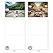 The Best Card Company - 10 Assorted Greeting Cards Blank (4 x 5.12 Inch) - All Occasion Vehicle Notecard Set - Vroom With A View M2356OCB