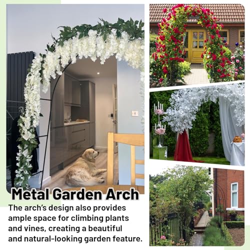 Arche de jardin pour rosiers avec structure stable et montage facile