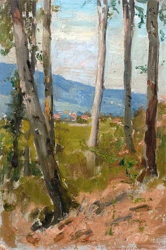 Impression d'affiches Défrichement forestier en Zélande sur toile de qualité musée 60x90