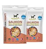 McLovin's Freeze Dried Salmon Treats for Dogs - High-Protein, Grain-Free - All-Natural Healthy Freeze Dried Dog Treats- Made in The USA - Perfect High Value Training Reward – 2×2.5oz(5oz)