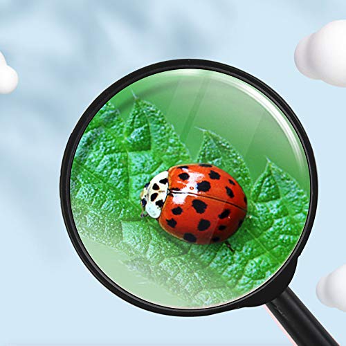 QLOUNI 10 stuks kinderluppen, vergrootspeelgoed, cadeautje mini-vergrootglas zakloep voor kinderen van kunststof… - Image 6