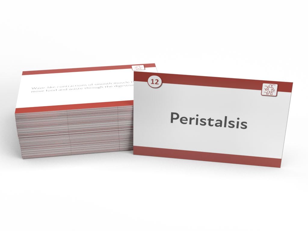 Tarjetas de estudio MBLEx: preparación para el examen MBLEx 2024-2025 con preguntas de examen de práctica para el examen de licencia de masaje y carrocería [3ª edición]