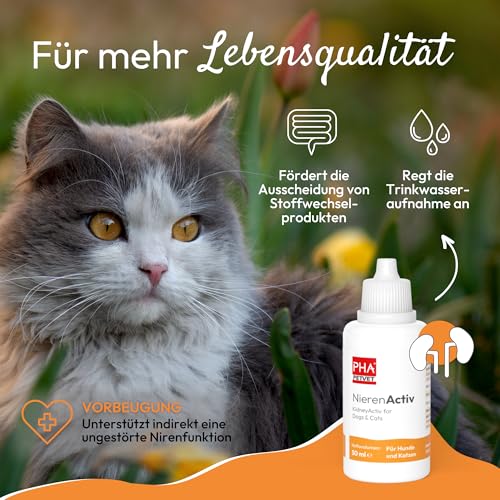 PHA NierenActiv Tropfen für Hunde & Katzen - Pflanzliche Unterstützung zur Vorbeugung von Nierenproblemen, REGT den natürlichen Harnfluss an, mit Birkenblättern, Schachtelhalmkraut & Wacholderbeeren