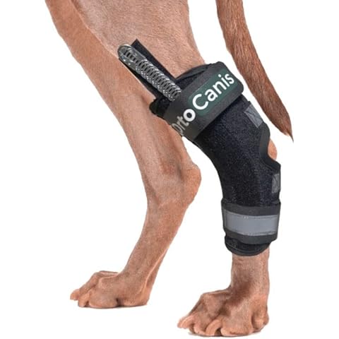 Ortocanis Hock splint brace for dogs- immobilises, protects, supports the ankle - removable flexible splints Cover