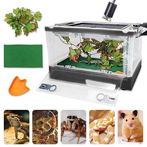 10 BEST 10 Gallon Lizard Tanks for Your Reptilian Companion The Ultimate Buying Guide Furry Folly