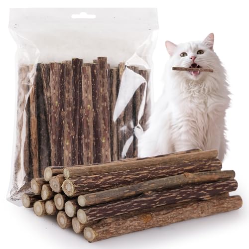 GeeRic Masticar Palos Gato, 30 Palitos De Hierba Gatera Orgánico Natural Juguete para Masticar para Aliviar el Aburrimiento de los Gatos y Limpiar los Dientes