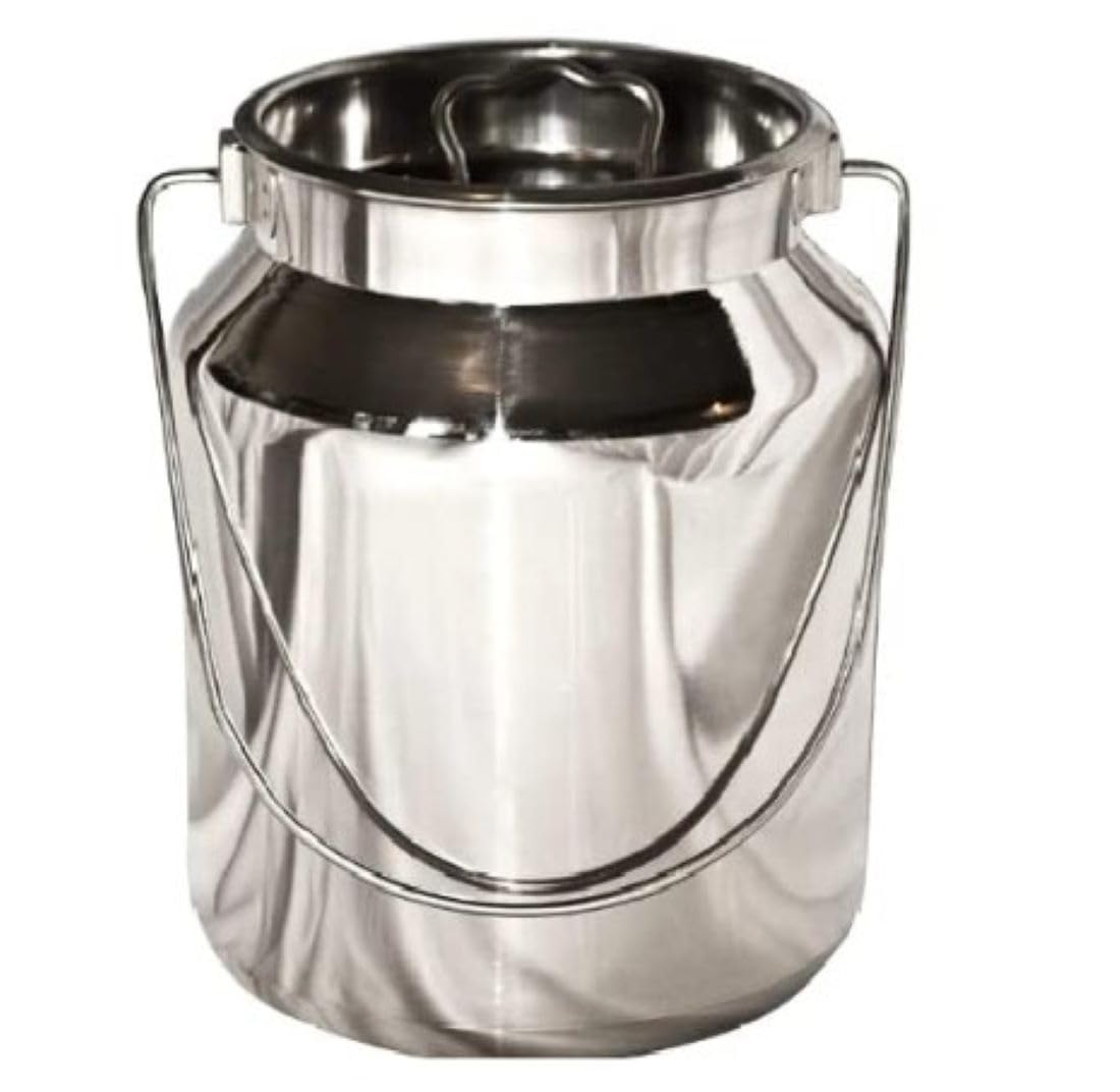 jewellary hub Stainless Steel Metal Milk Jug | Vintage Milk Vases | Silver Milk Gallon | Rustic Milk Cans with Lids (Stainless Steel, 4 Liter)