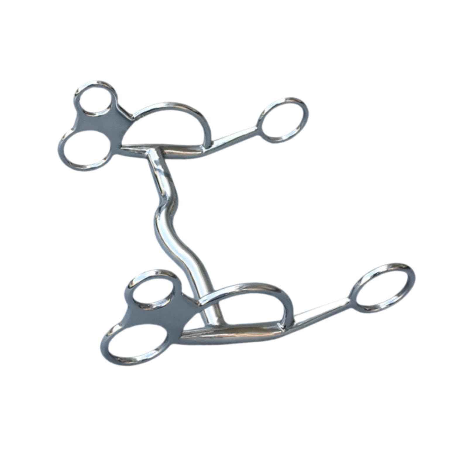per cavallo in acciaio inossidabile, finitura splendida, di grandi dimensioni, comodo per l'addestramento e l'equitazione, piacevole per gli appassionati, filetto per