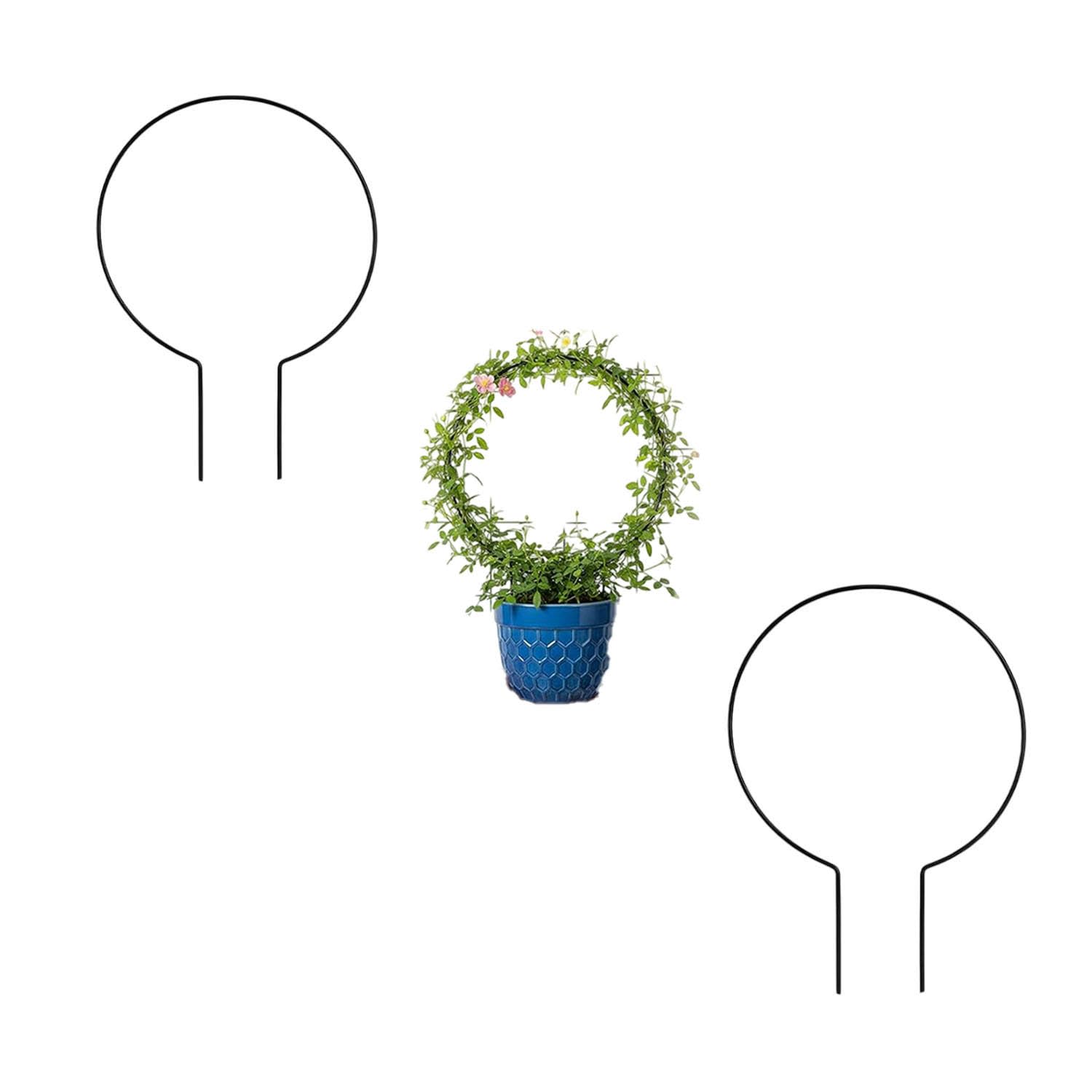 Laksh CASA-Pcs-2 Round Plant Trellis, Plant Support, Trellis for Climbing Plants Indoor Trelli for Potted Planted, Garden Obelisk Trelli for Climbing Plants, Vines, Topiary Frames (2)-image-49