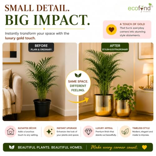 Image of ecofynd 2 Pack Metal Plant Pots (8 inch, 6.3 inch), Indoor Small Planter Flower Pots, Home Garden Decor Planter for Living Room Bedroom Interior (Gold Finish, POT047)