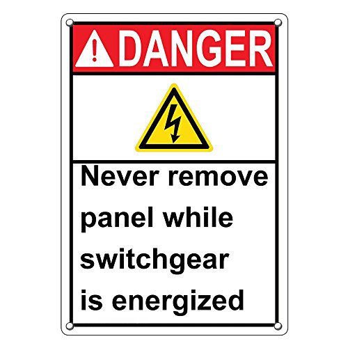Amazon.com: Weatherproof Plastic Vertical ANSI Danger Never Remove ...