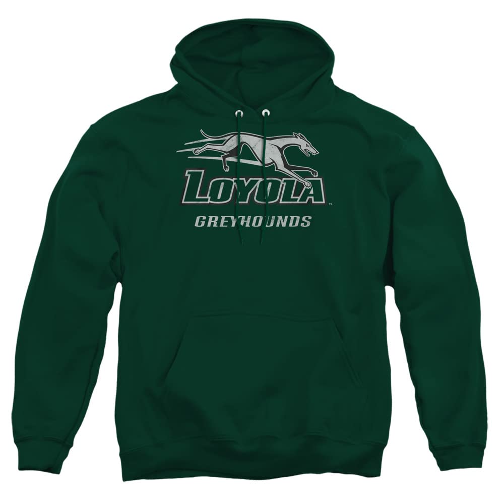 LOGOVISION Official Collegiate Distressed Primary Logo Adult Pullover Hoodie Collection — view 320