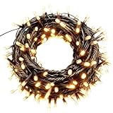 [Amazon限定ブランド]KOZATO LEDイルミネーションライト クリスマスライト ストレートタイプ 100球 10m メモリー機能 防雨 連結可 記憶 コントローラ付 (ブラックコード, シャンパンゴールド)