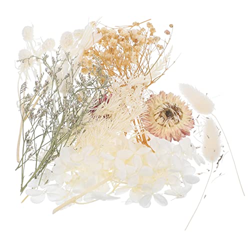 Set de flores secas prensadas para manualidades y decoración