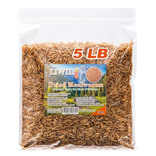 Dried Mealworms - 5 LBS, 100% Natural Non-GMO Protein