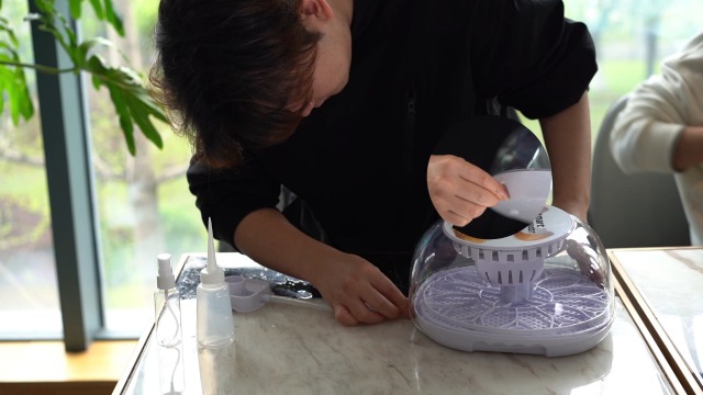 Amazon.com: Egg Incubator, 12 Egg Incubator with Automatic Egg