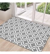 Amazon.com: HEBE Door Mat Indoor Entrance 20
