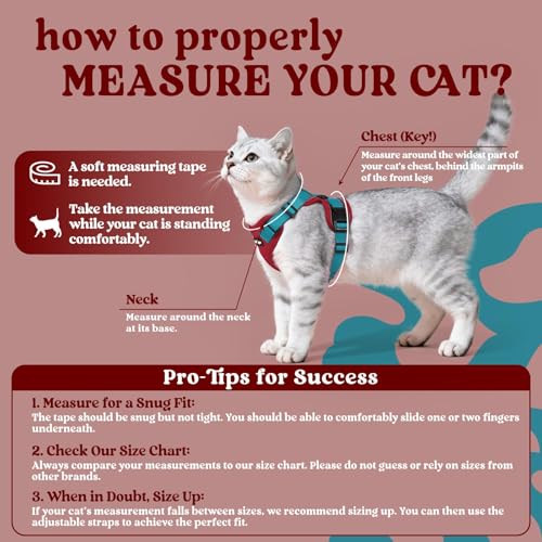 Image of rabbitgoo Cat Harness and Leash Set, Escape Proof Vest, Red & Teal | Soft Breathable Mesh, Easy Adjustable Fit, Snap Buckles, Sturdy Clip, Reflective Strips, for Average Cats Walks, S