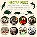 Nectar Pods (Mango) - Calcium-Fortified Jelly Fruit Treat - Sugar Gliders, Marmosets, Squirrels, Parrots, Cockatiels, Parakeets, Lovebirds, Conures, Hamsters, Day Geckos, Kinkajous & Other Small Pets