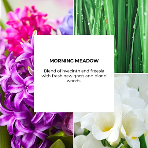 Partylite Tealight Candles, Fragranced Colored Wax With Clear Container, 12 Pack Tea Lights, Made In The Usa (Morning Meadow) #TOP3