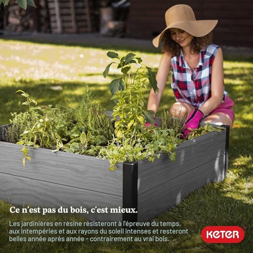 Lit de jardin surélevé Keter en érable pour potager de terrasse