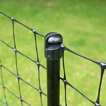Omlet Chicken Fencing | High Poultry Netting with Door | Significantly Higher Than Other Moveable Fencing Options on The Market | Give Your Chickens More Space | 69ft