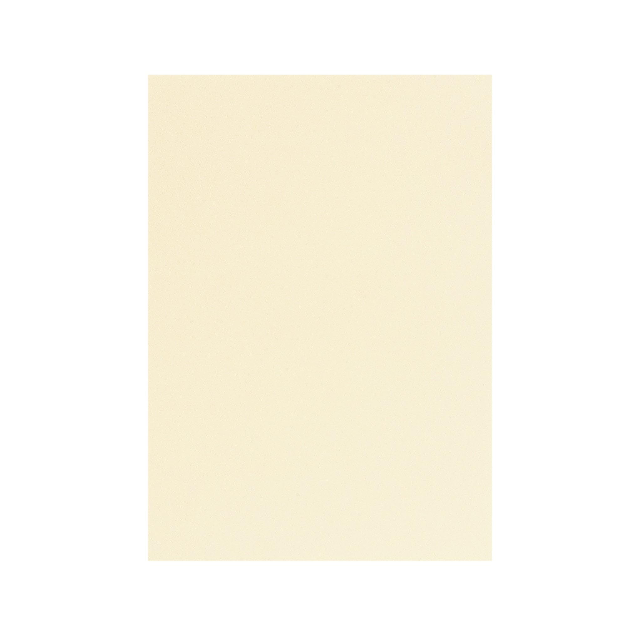 ＴＡＫＥＯ ＰＡＰＥＲ ＰＲＯＤＵＣＴＳ PAPER PALETTE A5中紙 アラベール ナチュラル 10枚入