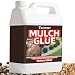 Teexpert 1-Gallon 6000mpas Viscosity Landscaping Mulch Glue $19