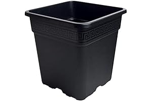 Square 5 Gallon Black Plastic Pot Planter Insert Liner - Heavy Duty...