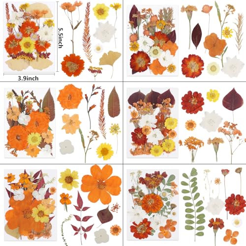 277 Pcs Flores Secas para Manualidades NESCCI miniatura 2