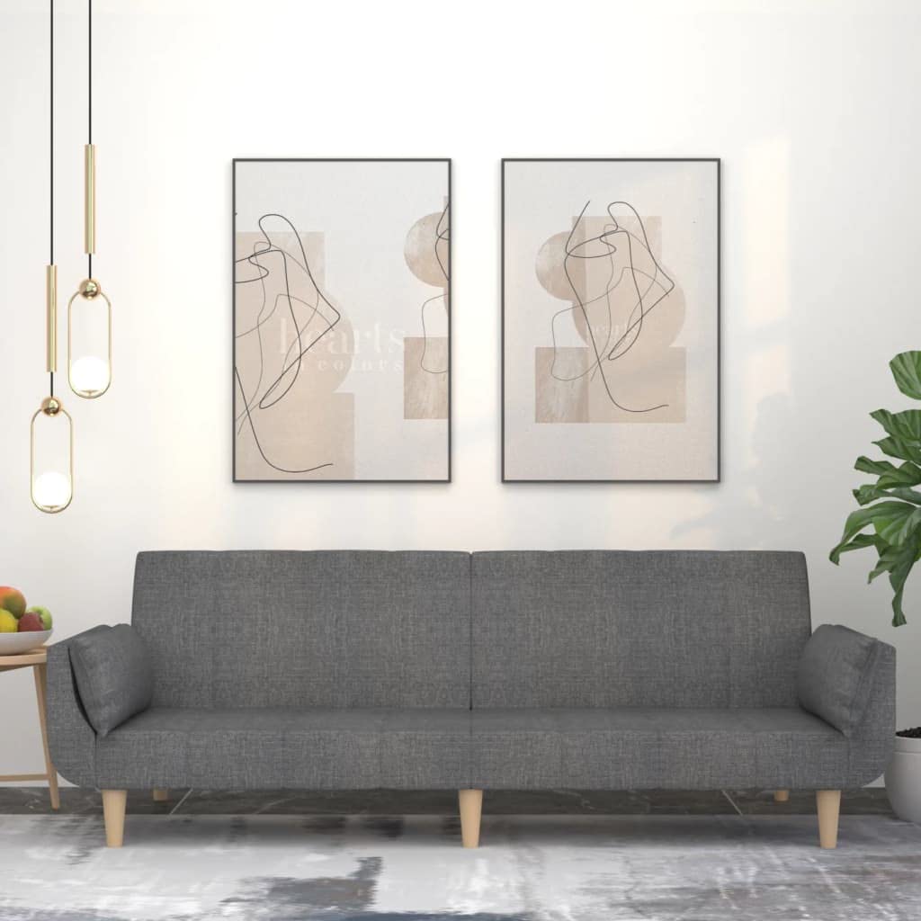 Sofá cama de 2 plazas con 2 cojines, color gris claro, sofá
