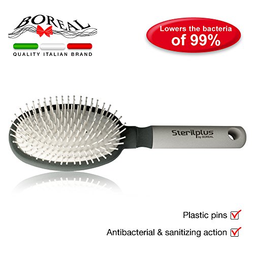Preisvergleich Produktbild Oval cushion hairbrush antibacterial. Haarbürste antibakterielle.