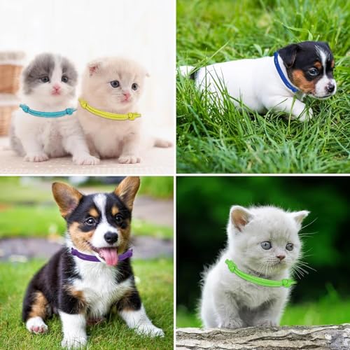 12 Stück Welpen ID Halsbänder, Welpenhalsbänder Einstellbar Soft Welpen Halsbänder, für Kleine Katzen, Hunde Welpen für Neugeborene Haustiere, 12 Farben