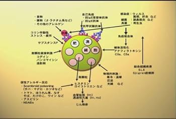 Dr.岡田のアレルギー疾患大原則(3)/ケアネットDVD